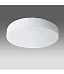 DELIA 2 LED 29W 3380lm 3000K IP54, Wall, ceiling lamps