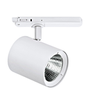 EGNATIA LED-SPOT SILVER 25°4000K WITH DALI-ADAPTER