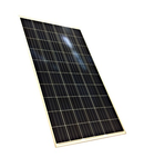 EXE Solar A-EXP 290Wp poly IEC, 5 Busbars, 8000 Pascal, PAL