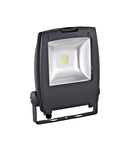 Floodlight Gambettola Pro 50W 6500K anthracite (RAL7016)