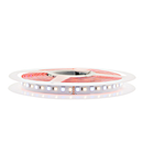 LED Strip 115 RGB-NW IP43,RA90+,935lm/m,12W/m L=5m, 24VDC