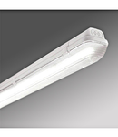 Linda Basic LED 1x19W, 4000K, 2805lm, IP65, gri, L=1270mm