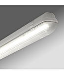 Linda LED 1x24W NOT 1h, 4000K, 3802lm, IP65, gri, l=1270mm