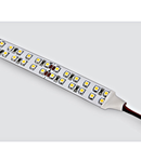 Marra LED Strip 19,2W/m 240LED/m 3000K 1250lm/m 24VDC IP20