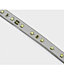 Marra LED, 4,8W/m, 60LEDs/m, albastru, 24VDC, IP65