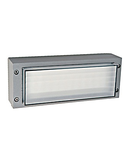 Plaza-I-S LED 3W 6000K, IP54, alb