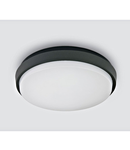 Rona Round LED 20W 3000K 1600lm, IP54,antracit