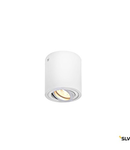 TRILEDO CL, indoor ceiling light, QPAR51, white, max 10W