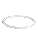 Tub fluorescent circular T5, 40W, 4000K