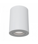 Plafoniera, lampa tavan Alfa
C016CL-01W