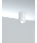 Plafoniera, lampa tavan Alfa
C016CL-01W