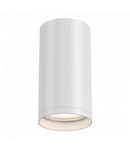 Plafoniera, lampa tavan FOCUS S
C052CL-01W