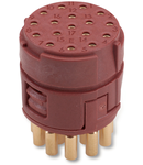 Conector industrial EPIC SIGNAL M23 17E BLMS (5)