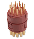 Conector industrial EPIC SIGNAL M23 16E SLM (5)