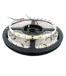 Banda LED 12V 14.4W/M 60LED/m, IP65 R5050, 6400K - rola 5m