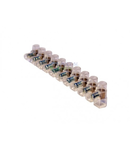 Conector Terminal 2.5Mm 10P