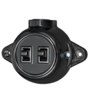 ANTIQUE TWO BUTTON ONE WAY SWITCH 10А 250V BLACK