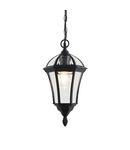 Corp de iluminat decorativ pentru exterior Drayton Pendant