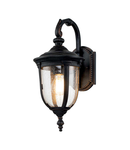 Aplica pentru exterior Cleveland 1 Light Small Wall Lantern