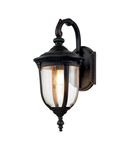 Aplica pentru exterior Cleveland 1 Light Medium Wall Lantern