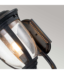 Aplica pentru exterior Cleveland 1 Light Medium Wall Lantern