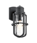 Aplica pentru exterior Suri 1 Light Wall Lantern