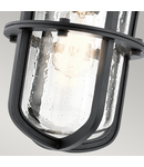 Aplica pentru exterior Suri 1 Light Wall Lantern