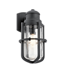 Aplica pentru exterior Suri 1 Light Wall Lantern