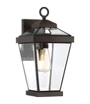 Aplica pentru exterior Ravine 1 Light Medium Wall Lantern