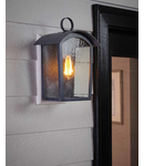 Aplica pentru exterior Hodges 1 Light Large Wall Lantern