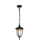 Lampa suspendata Cleveland 1 Light Small Chain Lantern