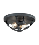 Corp de iluminat decorativ pentru exterior, Bradbury 2 Light Flush Mount