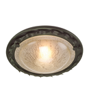 Corp de iluminat decorativ pentru exterior, Olivia 1 Light Flush – Black/Gold