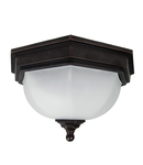 Corp de iluminat decorativ pentru exterior, Fairford 1 Light Flush Lantern