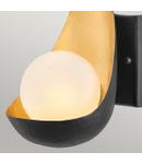 Aplica Ren 1 Light Wall Light