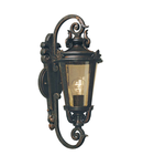 Aplica Baltimore 1 Light Medium Wall Lantern