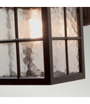 Aplica Winchester 1 Light Wall Down Lantern