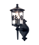 Aplica Hereford 1 Light Wall Lantern