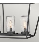 Alford Place 6 Light Outdoor Linear Pendant