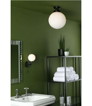 Plafoniera Alrik Bathroom Flush Matt Black Opal Glass IP44