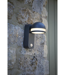 Aplica Tien Outdoor Wall Light Adjustable Head Anthracite Sensor IP65 LED