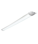 Lampa tehnica, Reeve 2 pallet Promo IP65 40W daylight white