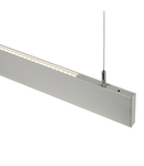 Lampa suspendata, Kingsley 1500MM 40W cool white