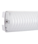 Iluminat sigurantaSight Plus IP65 4.5W daylight white