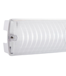 Iluminat sigurantaSight Plus self Test EMST IP65 3W daylight white