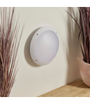 Aplica pentru iluminat decorativ exterior, Seran plain IP65 12W daylight white