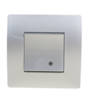 BASIC TG114 1 BUTTON 1 WAY SWITCH WITH LIGHT SILVER GREY