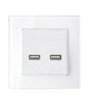 DOUBLE USB SOCKET GLASS FRAME WHITE