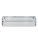 XL103 EXIT LIGHT 5W 27LED, IP65