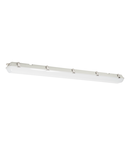 IP65 seria4 LED 30W 4000K 120LM, 1500mm, Solentis